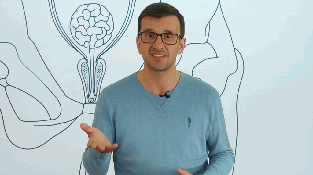 Male health consultation with prostate diagram